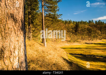 Dürre Sommersaison Derbyshire England Ray Boswell Stockfoto