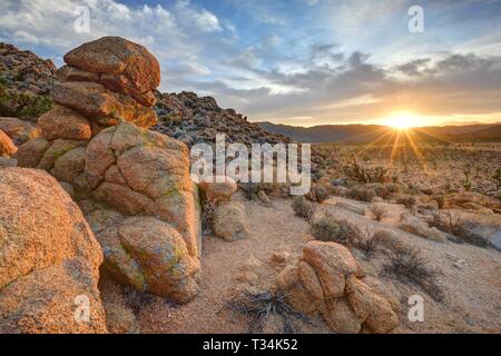 Joshua Tree National Park bei Sonnenuntergang, Kalifornien, USA Stockfoto