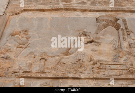 Entlastung des Königs Darius auf dem Thron, Persepolis, Marvdasht, Provinz Fars, Iran Stockfoto