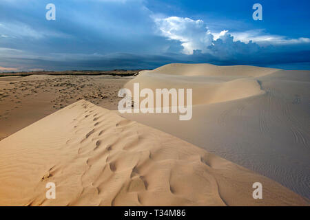 Desert sand dunes, Mui Ne, Binh Thuan Provinz, Vietnam Stockfoto