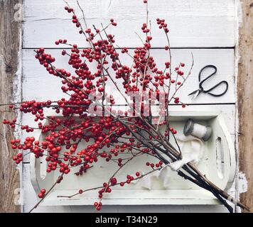 Red winterberry Filialen auf einem Tablett mit Band und Schere Stockfoto