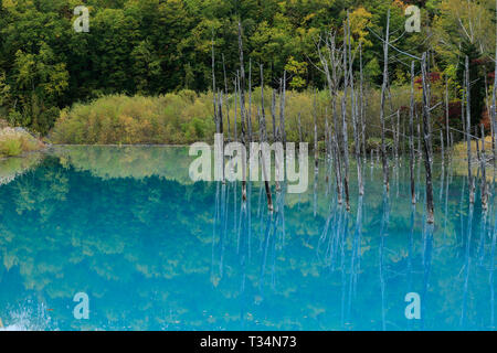 Shirogane blauen Teich, Hokkaido, Japan Stockfoto