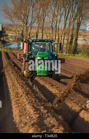 Traktoren, die tiefes Bett Gestaltung durch Aussaat die Felder in den frühen Quellen Zeit in Burnham Overy in Nord Norfolk, East Anglia, England, Großbritannien Stockfoto