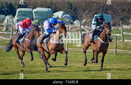 Drei Pferde und Jockeys in vollem Galopp während einer Punkt-zu-Punkt Ereignis Stockfoto