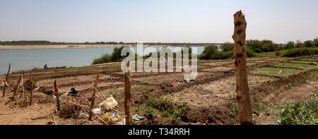 Kamira, Sudan, Februar 9., 2019: Pflanzliche Felder an den Ufern des Nil im Sudan Stockfoto