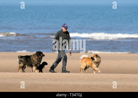 Southport, Merseyside, UK. Sonniges Wetter. 6. April 2019. Die Leute an der Küste der schönen sonnigen und warmen Wetter entlang der goldenen Sandstrand von Southport Strand in Merseyside zu machen. Credit: cernan Elias/Alamy leben Nachrichten Stockfoto