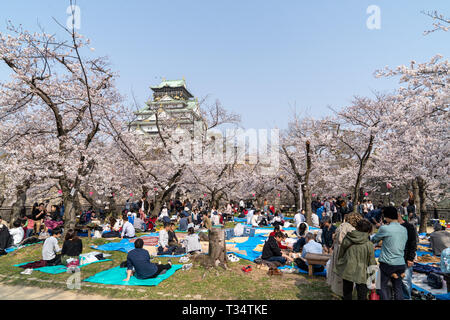 Menschen sitzen und Picknicken, auf blaue und grüne Blätter, unter Kirschblüten Bäume in der Nishinomaru Garten in der Burg von Osaka, mit Schloss im Hintergrund halten. Strahlender Sonnenschein, blauer Himmel. Stockfoto