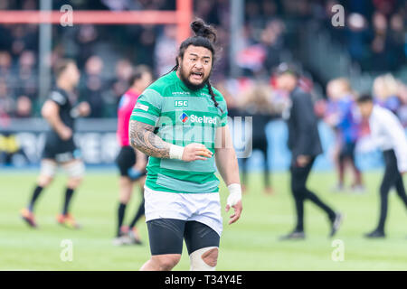 London, Großbritannien. 06 Apr, 2019. Logovi' ich Mulipola von Newcastle Falcons sah während Gallagher Premiership Übereinstimmung zwischen Sarazenen und Newcastle Falcons bei Allianz Park am Samstag, 06. April 2019. London England. (Nur redaktionelle Nutzung, eine Lizenz für die gewerbliche Nutzung erforderlich. Keine Verwendung in Wetten, Spiele oder einer einzelnen Verein/Liga/player Publikationen.) Credit: Taka G Wu/Alamy leben Nachrichten Stockfoto