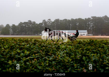 Pinehurst, North Carolina, USA. 3 Apr, 2019. April 6, 2019 - Pinehurst, N.C., USA - Treiber üben ihre Pferde in einem frühen Morgennebel vor dem 70. jährlichen Frühling Matinee Kabelbaum Rennen durch die Pinehurst Fahren & Training Verein gefördert, an der Pinehurst Kabelbaum Track, Pinehurst, North Carolina. Rennen in diesem Jahr der 104. Jahrestag der Spur zu gedenken. Credit: Timothy L. Hale/ZUMA Draht/Alamy leben Nachrichten Stockfoto