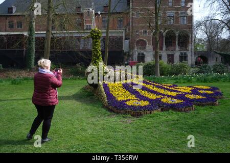 Brüssel, Belgien. 6 Apr, 2019. Ein Tourist nimmt Bilder auf einer Blume - "Pfau" an groot-bijgaarden Schloss in einem Vorort von Brüssel, Belgien, 6. April 2019. 16 Floralia Brüssel, eine Feder flower show, Samstag am Groot-Bijgaarden Schloss und dauert bis Mai 5. Über eine Million Blumen von fast 500 Sorten sind während der Flower Show präsentiert. Credit: Zhang Cheng/Xinhua/Alamy leben Nachrichten Stockfoto