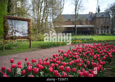 Brüssel. 6 Apr, 2019. Foto auf April 6, 2019 zeigt Tulpen an groot-bijgaarden Schloss in einem Vorort von Brüssel, Belgien. 16 Floralia Brüssel, eine Feder flower show, Samstag am Groot-Bijgaarden Schloss und dauert bis Mai 5. Über eine Million Blumen von fast 500 Sorten sind während der Flower Show präsentiert. Credit: Zhang Cheng/Xinhua/Alamy leben Nachrichten Stockfoto