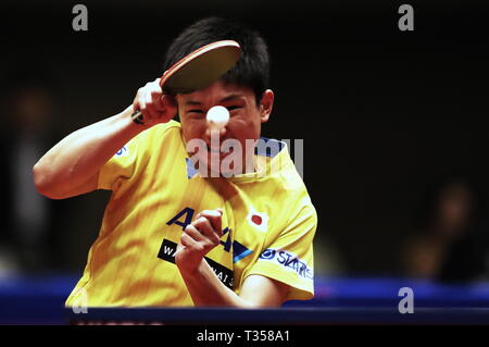 Tomokazu Harimoto (JPN), 6. APRIL 2019 - Tischtennis: 32 LION ITTF-attu Cup Yokohama 2019 Herren Einzel Halbfinale von Yokohama kulturellen Gymnasium, Kanagawa, Japan. (Foto von Sho Tamura/LBA SPORT) Stockfoto