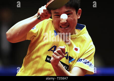 Tomokazu Harimoto (JPN), 6. APRIL 2019 - Tischtennis: 32 LION ITTF-attu Cup Yokohama 2019 Herren Einzel Halbfinale von Yokohama kulturellen Gymnasium, Kanagawa, Japan. (Foto von Sho Tamura/LBA SPORT) Stockfoto