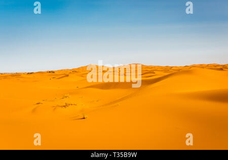 Majestätisch schöne Szene von Merzouga Dünen der Sahara Wüste Marokko. Stockfoto