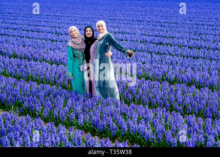 LISSE - een bruidspaar trouwen tulpenvelden staan in de bloei tulp Tulpen, Roos, Rozen, bollenvelden staan in de bloei tijdens de Lente bloembollen Stockfoto