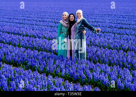 LISSE - een bruidspaar trouwen tulpenvelden staan in de bloei tulp Tulpen, Roos, Rozen, bollenvelden staan in de bloei tijdens de Lente bloembollen Stockfoto