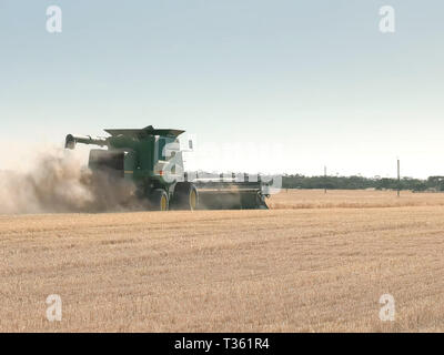 Ein Mähdrescher fährt weg von der Kamera auf Ein wa Korn Farm Stockfoto