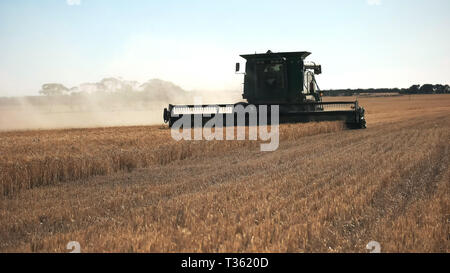 Hintergrundbeleuchtung Schuß des Mähdreschers in Westaustralien Stockfoto