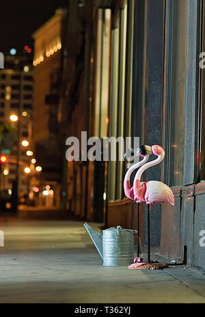 Kunststoff rosa Flamingos, der an der Tür eines in der Innenstadt ansässig. Stockfoto