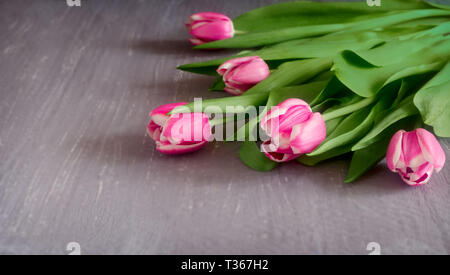 Schöne rosa Tulpen mit grünen Blättern auf der Tischfläche Stockfoto