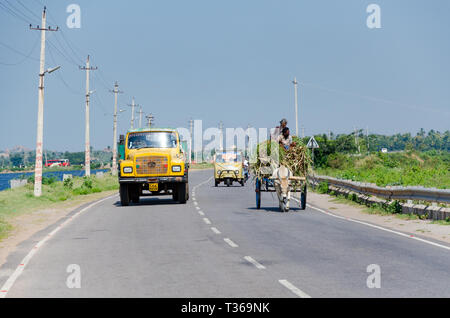 Ein Ochsenkarren geladen mit Zuckerrohr auf dem State Highway 49 wird durch einen Lkw in Kamalapur, Karnataka, Indien überholt Stockfoto