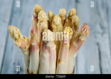 Bündel von frischem ungeschälten weißen Spargel im Frühjahr Stockfoto