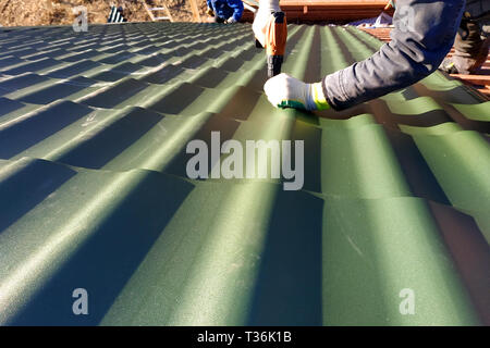 Die professionellen Mitarbeiter arbeitet bei der Installation von einem Dach Dach durch die Blätter eines Metall Fliesen- und Bohrer eine Schraube mit einem Bohrer 2019 Stockfoto