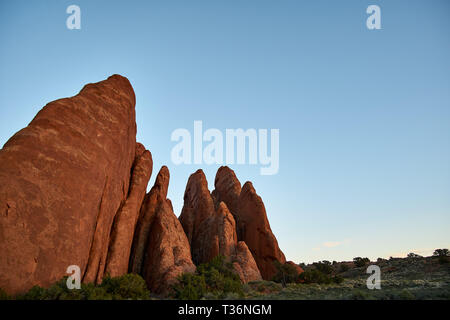 Roter Sandstein Felsformationen mit Utah Wacholder an ihrer Basis im Arches National Park, Moab, Utah, USA wächst. Stockfoto