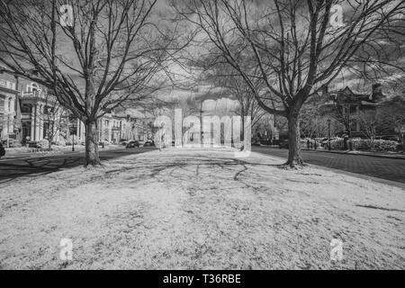 Monument Avenue in Richmond, Virginia, mit Jefferson Davis Konföderierten Denkmal Stockfoto