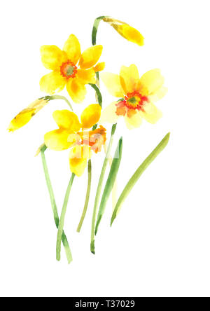 Schöner Frühling Bouquet. Zusammensetzung mit gelben Narzissen. Aquarell Hintergrund. Stockfoto