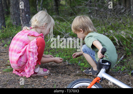 Zwei Kinder spielen in einem Wald. Kinder auf der Suche nach einem kleinen Insekten Stockfoto
