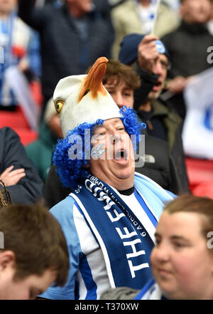 Fans während der FA Cup Semi Final Match zwischen Brighton & Hove Albion und Manchester City im Wembley Stadion. 6. April 2019 nur für den redaktionellen Gebrauch bestimmt. Kein Merchandising. Für Fußball Bilder FA und Premier League Einschränkungen Inc. kein Internet/Mobile Nutzung ohne fapl Lizenz - für Details Kontakt Fußball Dataco Stockfoto