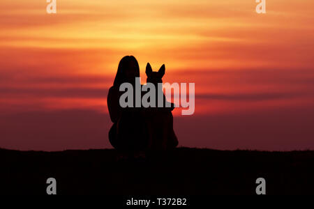 Silhouetten bei Sonnenuntergang, Mädchen und Hund vor dem Hintergrund der unglaublichen Sonnenuntergang, Belgische Schäferhund Malinois, Schmuse Stockfoto