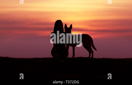 Silhouetten bei Sonnenuntergang, Mädchen und Hund vor dem Hintergrund der unglaublichen Sonnenuntergang, Belgische Schäferhund Malinois, Schmuse Stockfoto