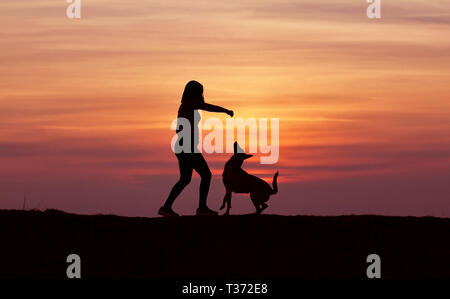 Silhouetten bei Sonnenuntergang, Mädchen und Hund vor dem Hintergrund der unglaublichen Sonnenuntergang, Belgische Schäferhund Malinois, Schmuse Stockfoto