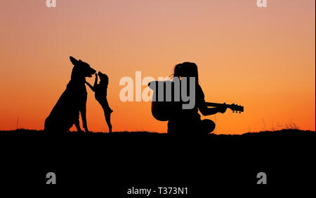 Silhouettegirls Gitarrist auf Sonnenuntergang Hintergrund, Silhouette einer Hunderasse Belgischer Schäferhund Malinois, glücklich, Freunde, outdoor Stockfoto