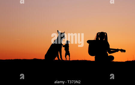 Silhouettegirls Gitarrist auf Sonnenuntergang Hintergrund, Silhouette einer Hunderasse Belgischer Schäferhund Malinois, glücklich, Freunde, outdoor Stockfoto