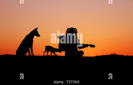 Silhouettegirls Gitarrist auf Sonnenuntergang Hintergrund, Silhouette einer Hunderasse Belgischer Schäferhund Malinois, glücklich, Freunde, outdoor Stockfoto