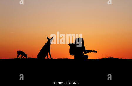 Silhouettegirls Gitarrist auf Sonnenuntergang Hintergrund, Silhouette einer Hunderasse Belgischer Schäferhund Malinois, glücklich, Freunde, outdoor Stockfoto