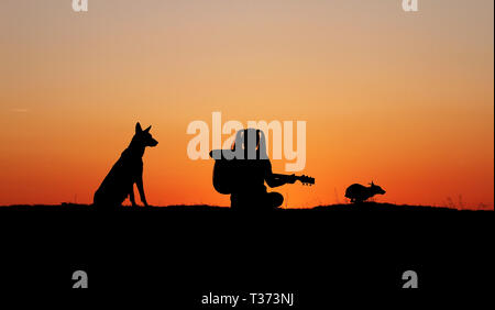 Silhouettegirls Gitarrist auf Sonnenuntergang Hintergrund, Silhouette einer Hunderasse Belgischer Schäferhund Malinois, glücklich, Freunde, outdoor Stockfoto