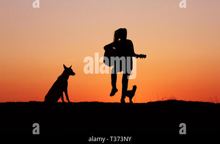 Silhouettegirls Gitarrist auf Sonnenuntergang Hintergrund, Silhouette einer Hunderasse Belgischer Schäferhund Malinois, glücklich, Freunde, outdoor Stockfoto