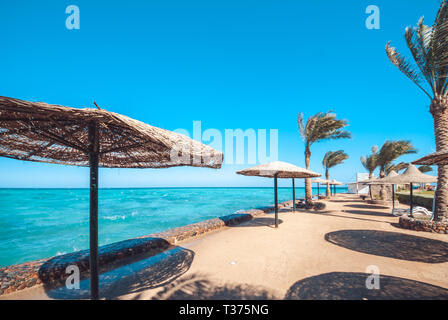 Sandige Strand mit Sonnenschirme aus Stroh und Sonnenliegen auf dem Hintergrund Palmen und blauem Meer gefüllt. Himmel mit der Copyspace für Ihren Text Stockfoto
