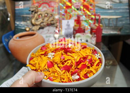 Bangkok, Thailand, April 13.2018, Blütenblatt, viele verschiedene Arten von Farben Blumen auf weiße Platte gut für den Einsatz auf dem Wasser über Buddha Bilder zu verehren sind Stockfoto