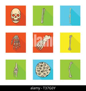 Vector Illustration von Knochen und Skelett unterzeichnen. Sammlung von Knochen und menschlichen Vektor Illustration. Stock Vektor