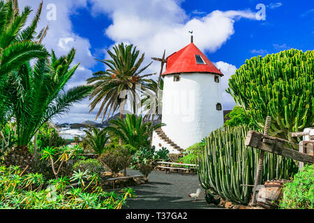 Traditionelle Windmühle in Cactus Garden, Lanzarote, Spanien Stockfoto