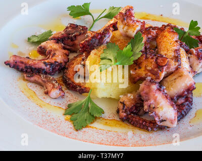 Gegrillter Tintenfisch mit Kartoffeln Stockfoto