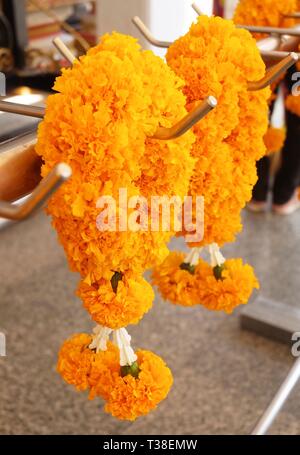 Schöne gelbe Ringelblume Kränze und Girlanden, die Girlande in der thailändischen Tradition Style verwendet für die Buddha zu bezahlen. Stockfoto