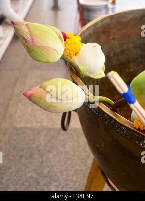 Buddhistische, Räucherstäbchen und Lotus Blumen in Religion Schüssel zu verehren, Respekt und machen Verdienst mit dem Buddha in den Tempel. Stockfoto