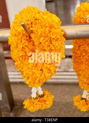 Schöne gelbe Ringelblume Kränze und Girlanden, die Girlande in der thailändischen Tradition Style verwendet für die Buddha zu bezahlen. Stockfoto