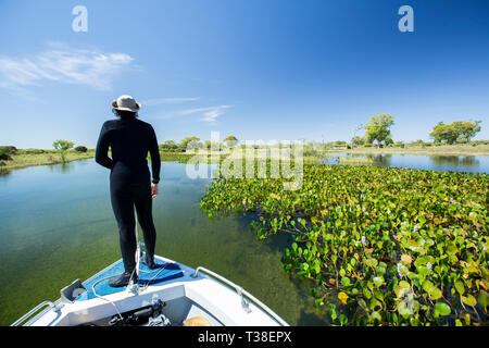 Impressionen des Rio Paraguay, Pantanal, Mato Grosso do Sul, Brasilien Stockfoto